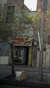 سوپر پروتئین صادقی