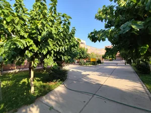 بیمارستان پیامبر اعظم (ص) 4