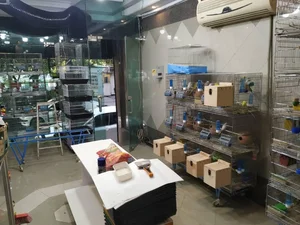 پرنده سرای نوید. 2