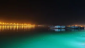 پارک آزادگان
