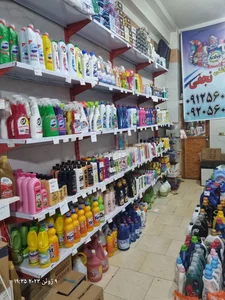 شوینده بهداشتی نجفی 4