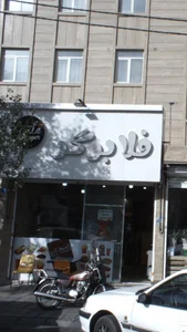 فلابرگر 2
