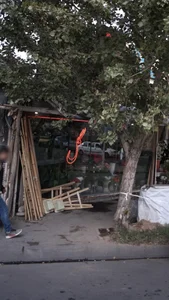 گل‌فروشی آزالیا