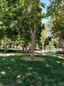 بوستان علوی 5