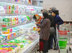 فروشگاه دایان