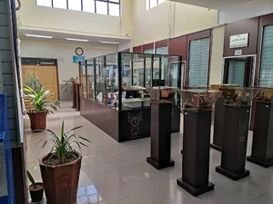 زرین دیده‌بان صنعت