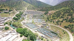 نمایندگی کامران سالاروند(فرادانه)