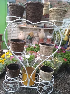 گلکده شقایق zamani