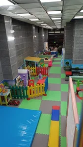 خانه بازی راکون / raccoon playhouse