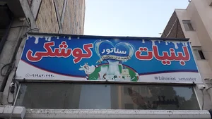 لاستیک عامری