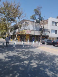 شیرین عسل 3