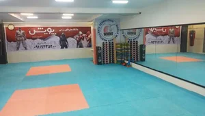 باشگاه ورزشی-رزمی پویش 4