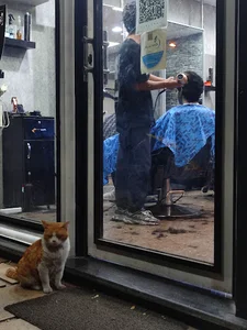 آرایشگاه نیوفیس|new face barbershop