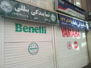 نمایندگی نیروموتور بیگی