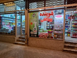 شوینده بهداشتی تک