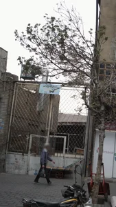 تعمیرگاه پارک
