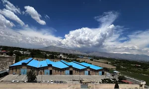 شرکت ویتکس