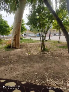 پارک بزرگ شهر جهرم 3