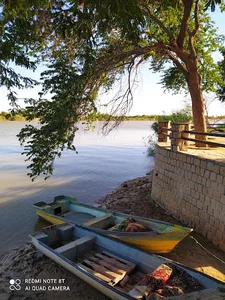 حفار غربی