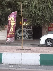 کافی‌شاپ کافه چی 2