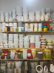 گالری گل مارچوبه 5