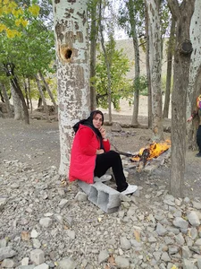 بلوارکشاورزمیدانامامرضا