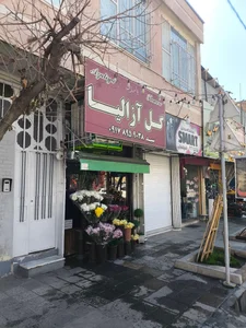 گل آزالیا 3