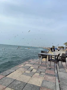 کافه گلاف 3