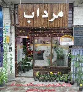 گلخانه گل و گیاه محمود