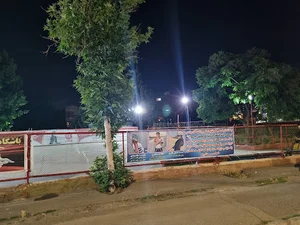 پیست اسکیت گل یاس