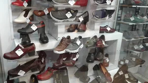 کفش تبریز