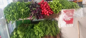 سوپر مارکت و میوه و سبزی رادمان 5