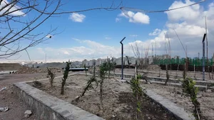 بوستان خانواده