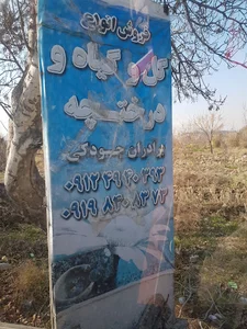 گل و گیاه برادران جودکی
