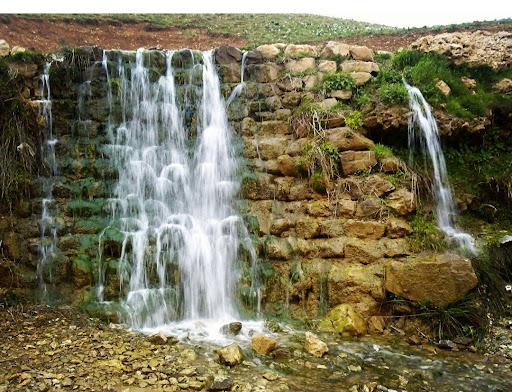 کانی جو