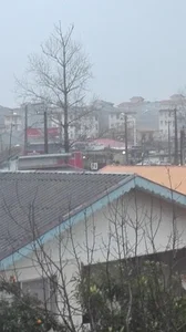 لوازم ساختمانی سیاوش