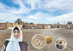 خیاطی و مزون فرضی