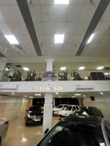 اتو علایی 2