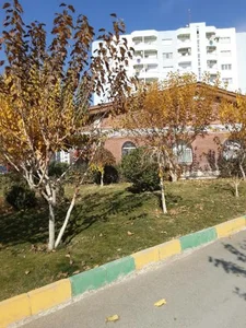 دارالقرآن سرای محله 3