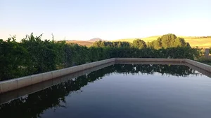 پرورش ماهی مهدی