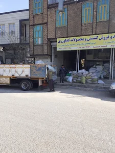 خشکبار رادین تاک