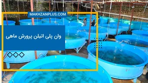 فیش لند