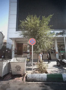 تالار امرالد تشریفات 2