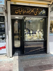 کفش دباغیان
