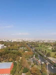 برج لادن