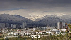 نمایندگی بیمه تعاون شیراز کد 3684