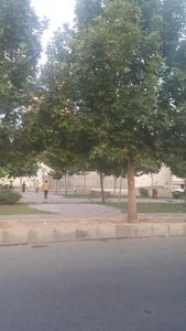 بوستان بابا طاهر 2