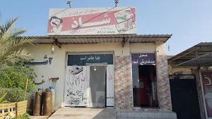 بیرون بر شاذ