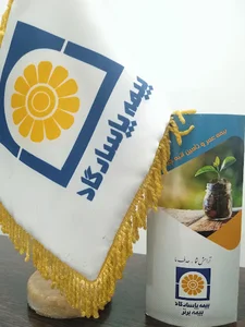 بیمه پاسارگاد