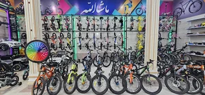 دوچرخه و ماشین شارژی رالی